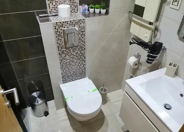 公寓 Mihajlovic 兹拉蒂博尔