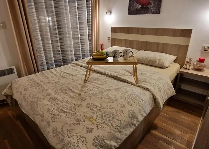 Mihajlovic * 兹拉蒂博尔