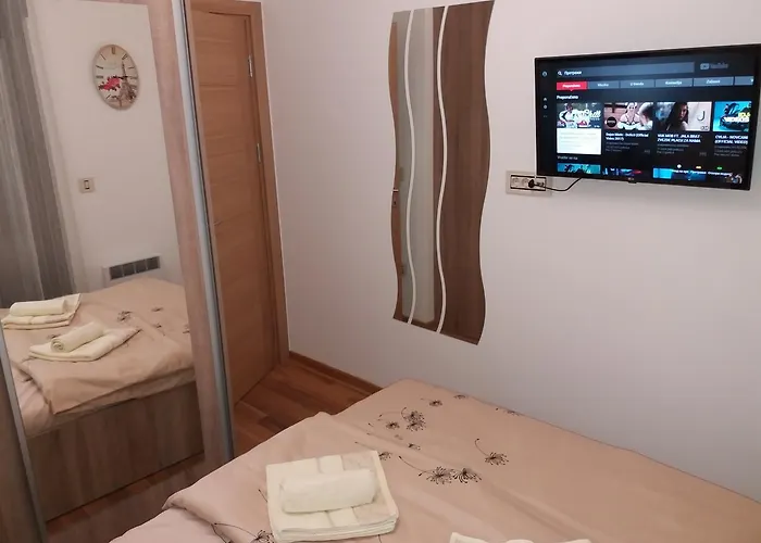 Mihajlovic * 兹拉蒂博尔