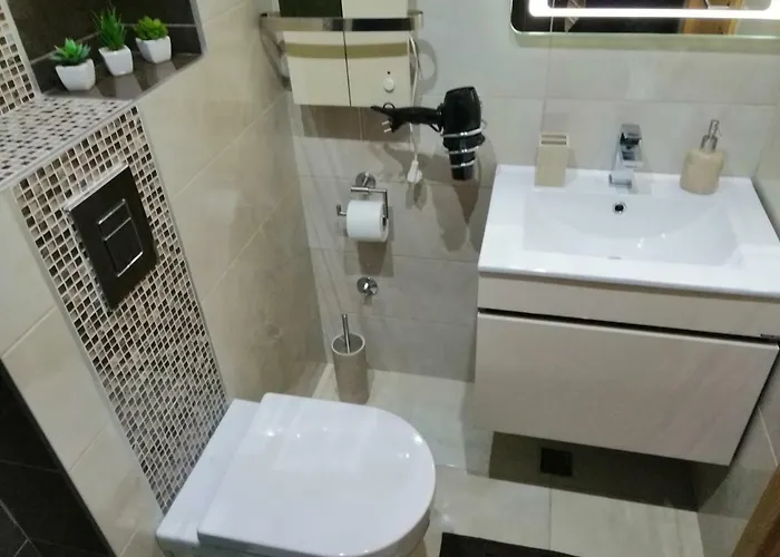 Mihajlovic 公寓 兹拉蒂博尔